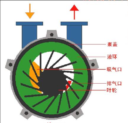 Christ凍干機售后維修